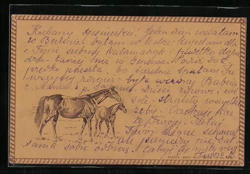 Carte postale jument - , au