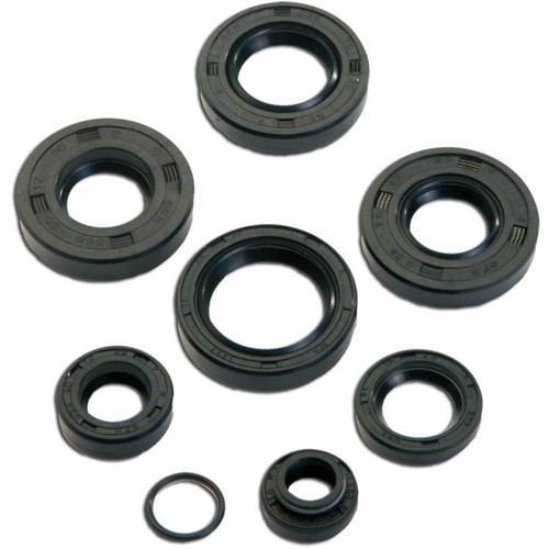 Set joints huile minarelli - joints,