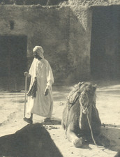 ALGERIE Tolga, photographie