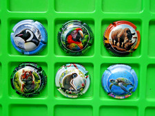 capsules de champagne