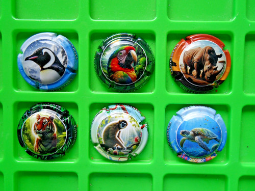 Capsules champagne - capsules,