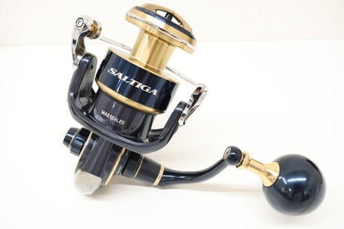 Daiwa 2020 saltiga 8000 - 2020,