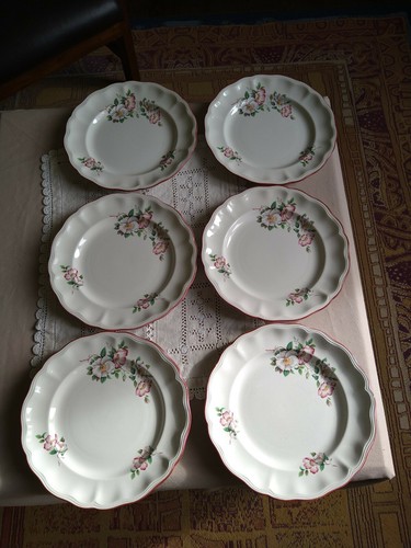 Lot assiettes plates - 6,