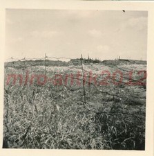 Photo, WW2 Nachl. Lw.Rgt