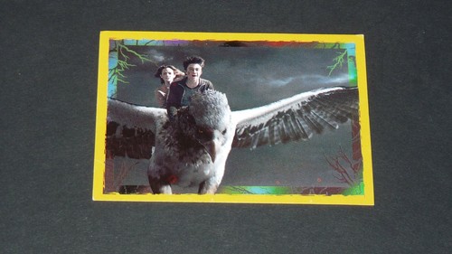 Panini harry potter - panini,
