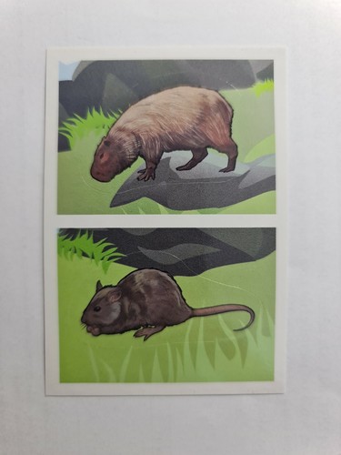 Image sticker autocollant