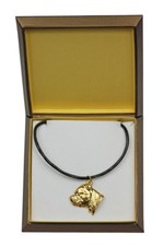 Staffy - collier doré avec un