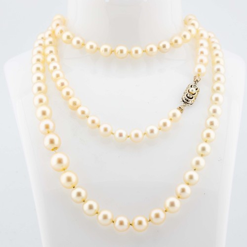Collier perles akoya 750 18k - collier, 750/18k