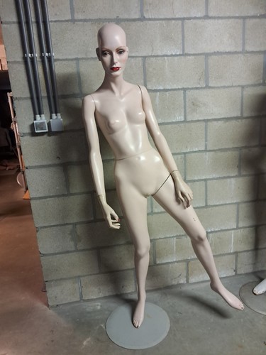 Vintage hindsgaul realistic - vintage,