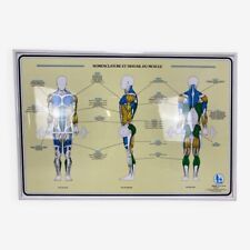 Affiche pédagogique anatomie muscles Fitnus Chart Series par Bruce Algra 1988