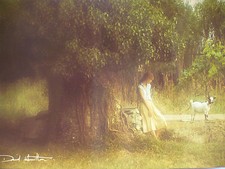 Carte Postale Géante   DAVID  HAMILTON  Format 24x32cm  Femme  Woman