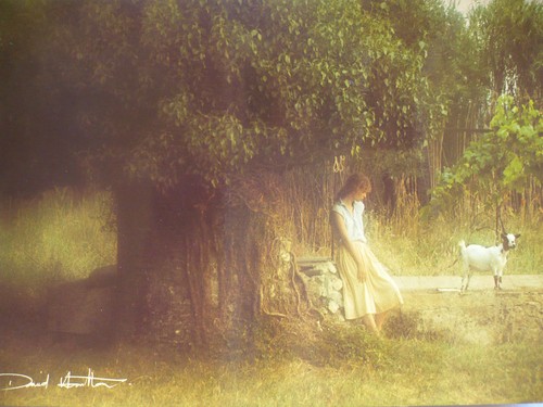 Affichette david hamilton - ,