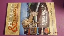 T.0 Revue Minéraux & Fossiles Guide Collectionneur N°352 Bisons Fossiles