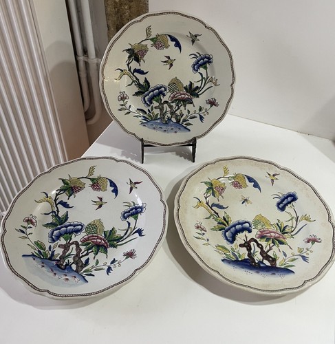 Assiette plate ancienne - 3,