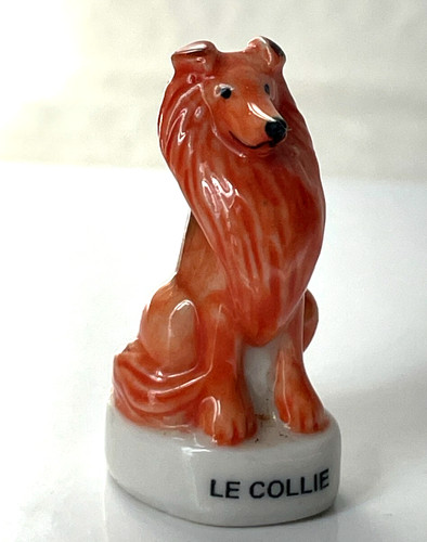 Magnifique fève chien - chien, collie