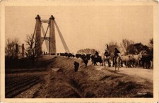 CPA En Camargue - Transhumance