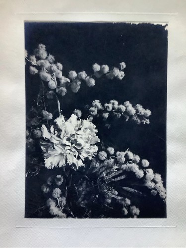 Photo ancienne art nature - ,