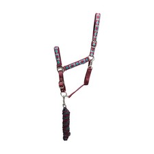 Hy - Licol et longe (BZ5126)