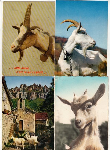 Lot cartes postales - lot, 4