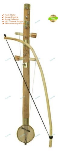 Violon musical sarangi - violon,