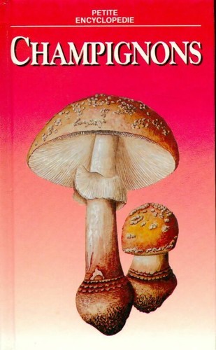 Champignon aurel dermek - aurel,
