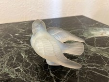 Probablement SABINO - Colombe