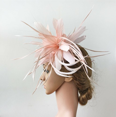 Plume faisan colvert - plume,
