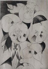 J.E. LABOUREUR - CAMELIAS