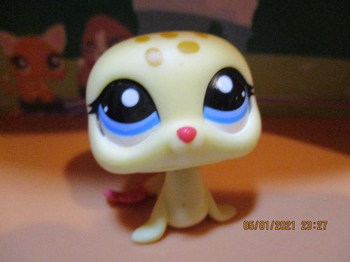 Petshop phoque 1561 - petshop,