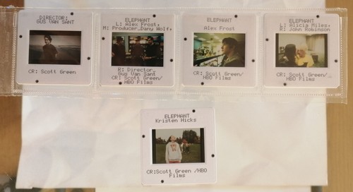 Elephant gus van sant - gus,