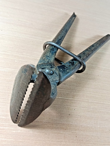 Belle grande pince griffe - belle,