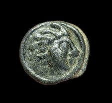 Senons, Potin A La Tête