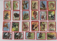 YAOURT VITHO VIGNETTES IMAGES PLASTIFIEES LES ANIMAUX DU MONDE 40x52 mm au choix