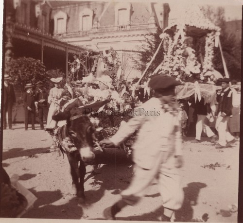 Carnaval chars fleuris photo - chars,