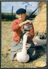 Carte postale n° 32/103 , La gaveuse d'oie , 1963