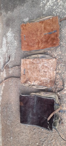 Sac dos allemand poil - poil, de