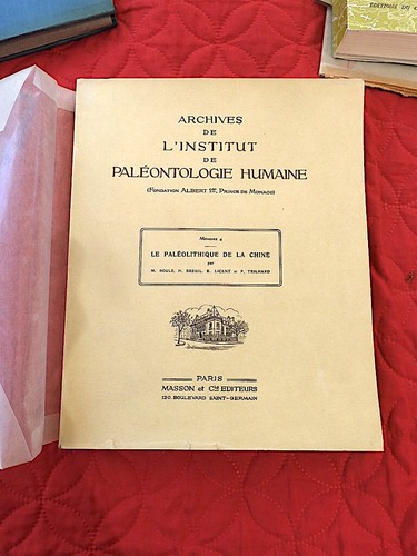Paleonthologie paléolithique - paleonthologie,
