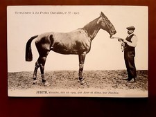 Photo Carte Hippisme Équitation 1913 ”La France Chevaline” N°55 Cheval ”JUDITH”