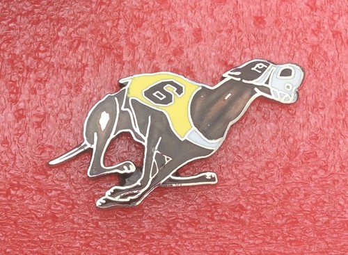 T27 pins chien course - chien,