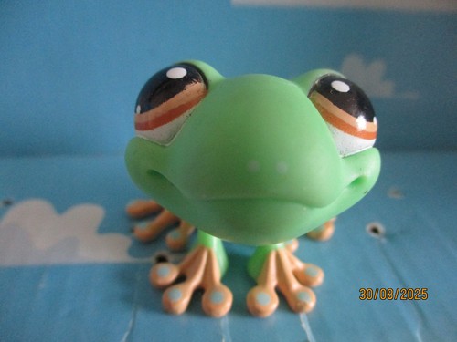 Petshop grenouille 1020 - grenouille, n°1020