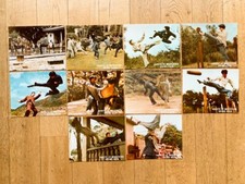 ARRETE LE MASSACRE SHING GIEN