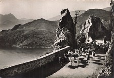 20 PORTO LE GOLFE TROUPEAU DE