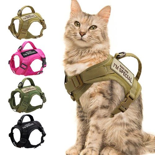 Harnais chat veste mesh - en,