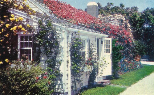 Carte etats unis roses - carte,