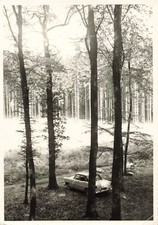 ANCIENNE PHOTOGRAPHIE AUTOMOBILE ANCIENNE SIMCA VEDETTE? DANS LA FORÊT