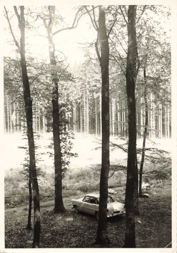 Ancienne photographie - ancienne,