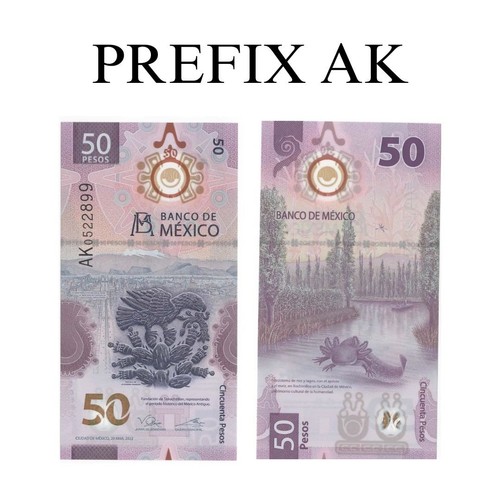 Pesos bill mexico axolotl - pesos,