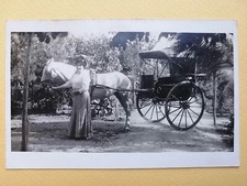 CPA Carte Photo ATTELAGE VOITURE à 2 ROUES Calèche Cheval