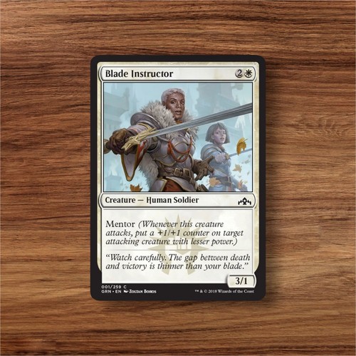 Mtg individual cards nm - individual,