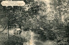 Etang de Rolland Sous l'ombrage Entre Etables sur Mer et Saint Quay Portrieux